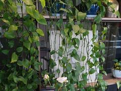 -必胜客(漕宝路店)