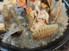 扇贝-丽江庭院之爱在路上(西单店)