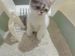 -美迦爱-牙专科·兔科·骨科诊疗中心(北苑店)