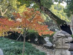 -绮园景区