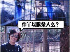 -费瑟代尔野生动物园