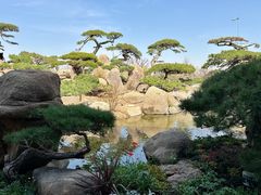 -罗红摄影艺术馆