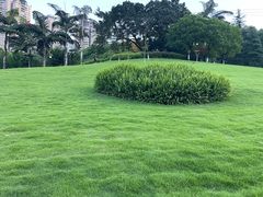 -龙头寺公园