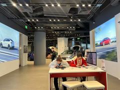 -TESLA 特斯拉(上海太古汇体验店)