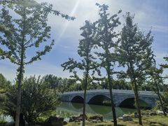 -马家湾湿地公园