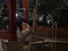 -碧水湾温泉
