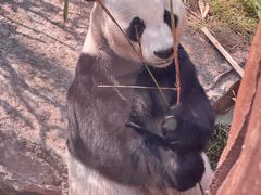 -济南野生动物世界