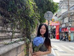 -溪岸路花鸟市场