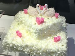-BLACKSWAN黑天鹅(环球店)