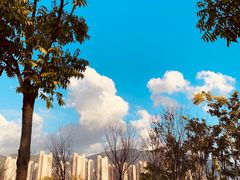 -牛岗山公园