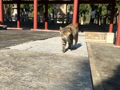 -四门塔风景区