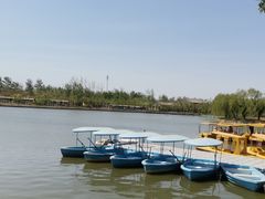 -杨柳青庄园