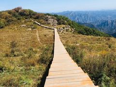 -白草畔自然风景区