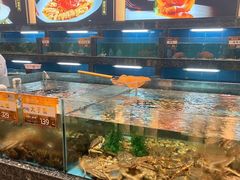 -国惠大酒楼(宝龙店)