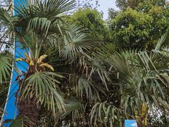 -天鹅湖体育公园