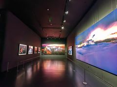 -罗红摄影艺术馆