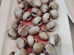 血蛤-华盛丰温州大排档(东三环南路店)