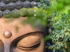 -杭州植物园