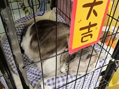 -谜盒子奇幻密室(南屏店)