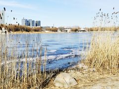 -大兴滨河森林公园