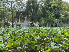 -惠州西湖风景名胜区-丰渚园