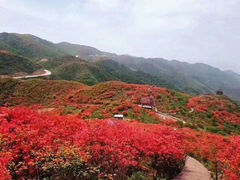 -大围山国家森林公园