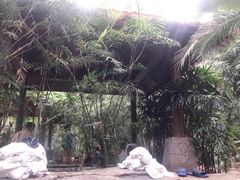 -龙达温泉生态城