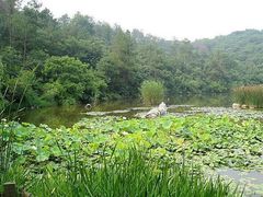 -天目湖山水园