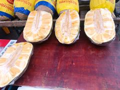 -红星农博物流中心