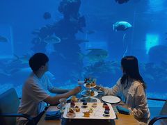 -涛·海底餐厅·美人鱼·自助餐·海底隧道(三亚海棠湾洲际度假酒店)