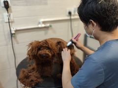 -哆趣宠物医院·眼科·内镜·急重症转诊中心(上海店)