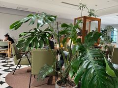 -一尺花园(安和花园店)