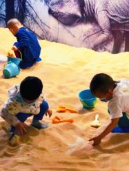 -恐龙探索乐园(磁器口店)