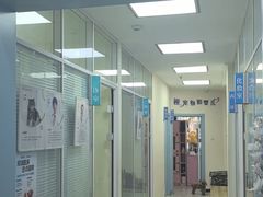 -全心全意连锁动物医院·微创中心·内科急重症·心脏专科(丰管路店)