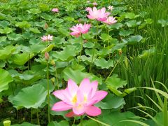 -常州奔牛国际机场