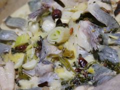 -鱼䲆鱻云南草帽蒸汽石锅鱼(云尚国际店)