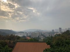 -顺峰山公园