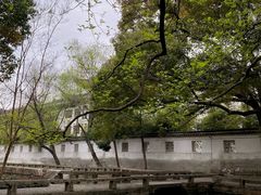 -西园戒幢律寺