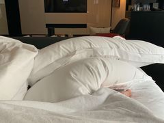 -尼依格罗香港美利酒店