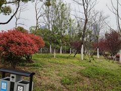 -天鹅湖体育公园