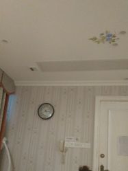 -静博士·养生养颜