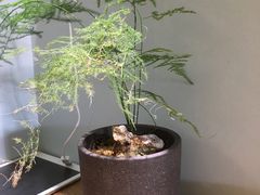 -静一餐厅·湖北菜(前门店)