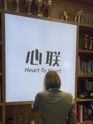 -心联形象设计·流星染