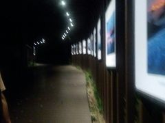 -紫金山天文台