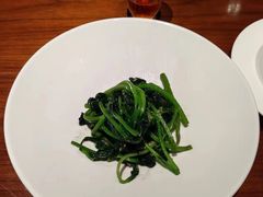 -觀芷隐轩