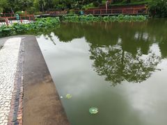 -纪念孙中山市政公园