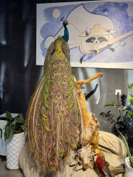 -酷嗒动物文化乐园(cutezoo西溪乐天城店)