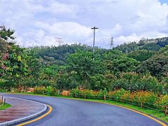 -梧桐山风景名胜区