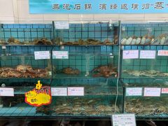 -海岛渔村大酒店(云霄路店)