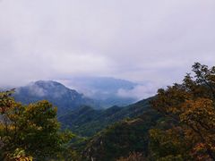 -大岭沟猕猴桃谷风景区